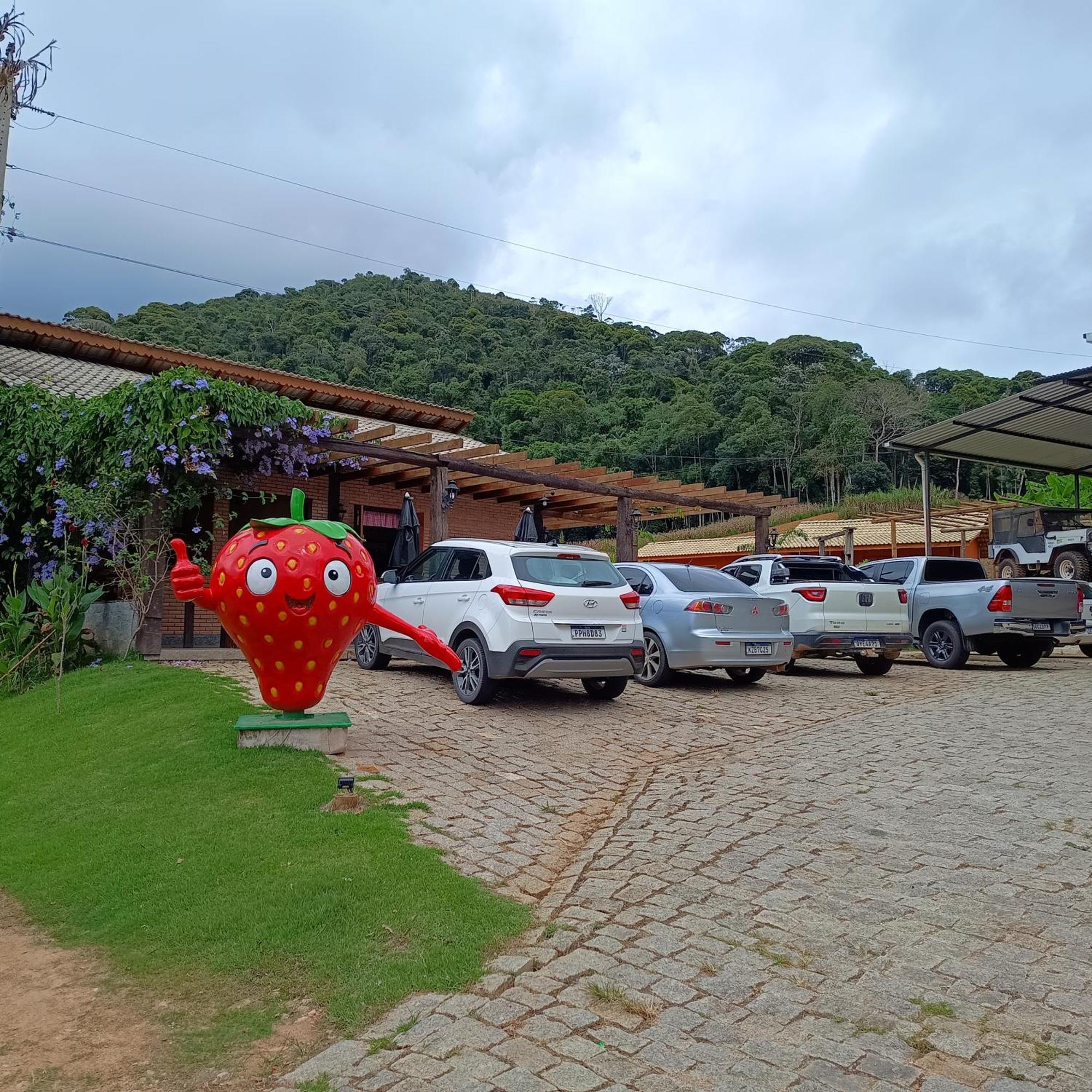 Coisa Nossa Apartment